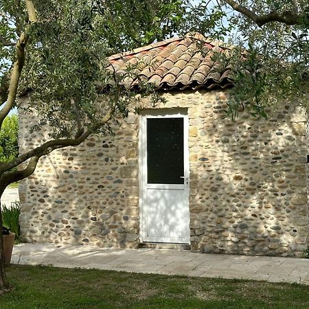 Maisonnette Independante Au Calme Dans Un Grand Jardin Chateauneuf-du-Rhone Bagian luar foto