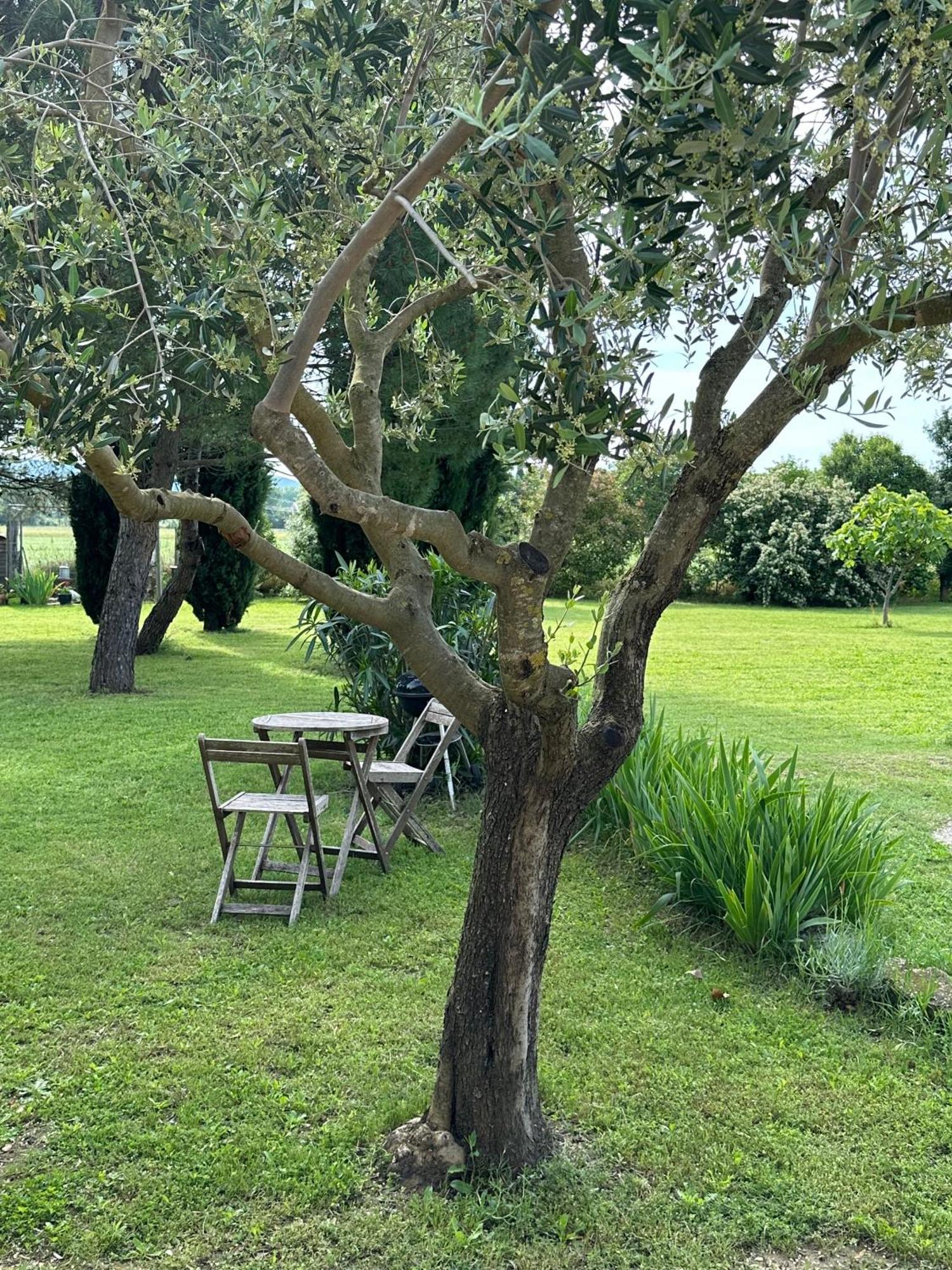 Maisonnette Independante Au Calme Dans Un Grand Jardin Chateauneuf-du-Rhone Bagian luar foto