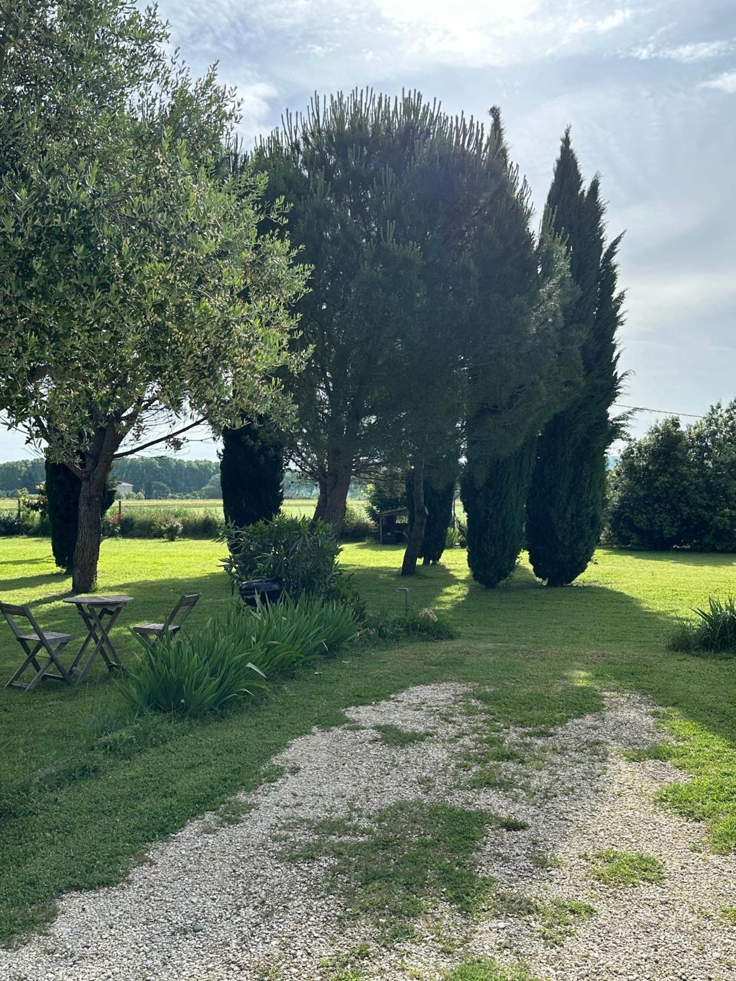 Maisonnette Independante Au Calme Dans Un Grand Jardin Chateauneuf-du-Rhone Bagian luar foto