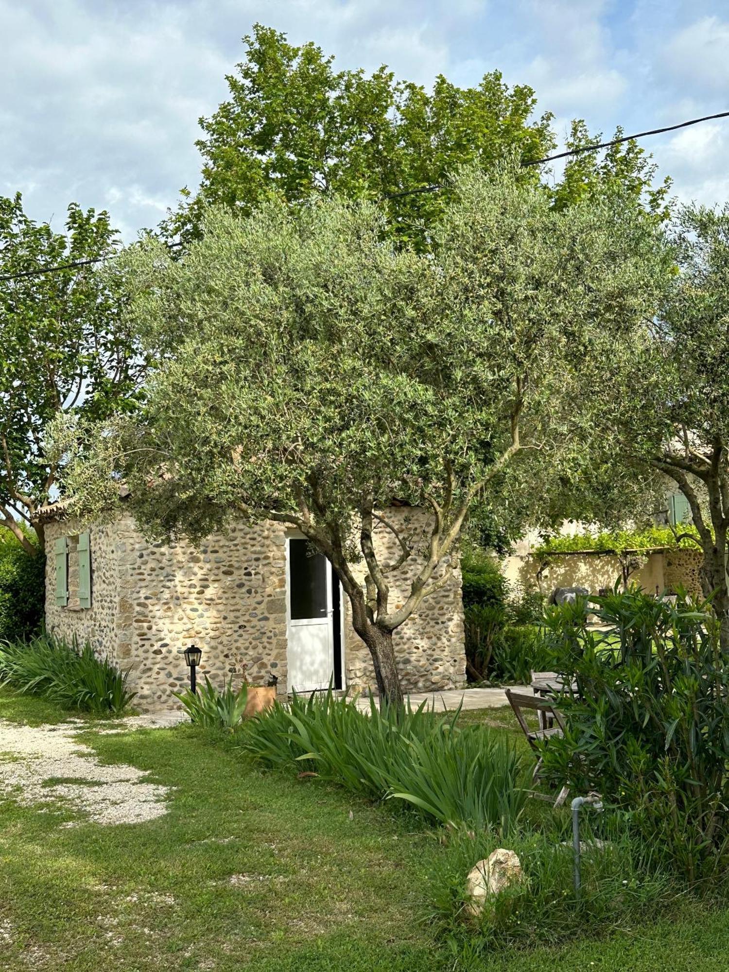 Maisonnette Independante Au Calme Dans Un Grand Jardin Chateauneuf-du-Rhone Bagian luar foto