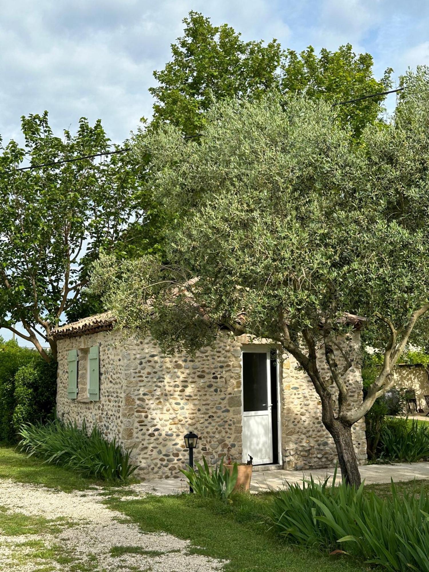 Maisonnette Independante Au Calme Dans Un Grand Jardin Chateauneuf-du-Rhone Bagian luar foto