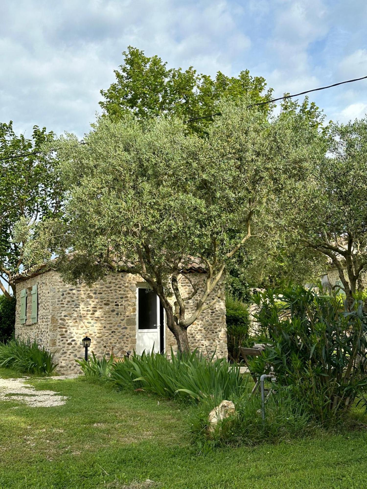 Maisonnette Independante Au Calme Dans Un Grand Jardin Chateauneuf-du-Rhone Bagian luar foto